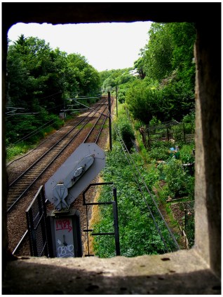Allotment-tunnelview-1