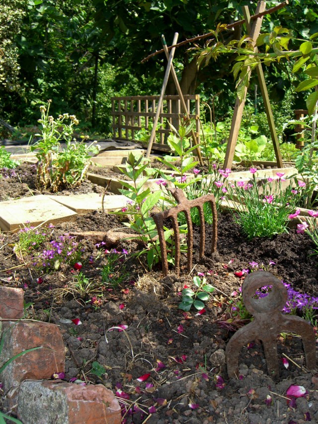 allotment-flowerbed