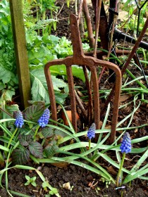 allotment-fork+smallflowers1