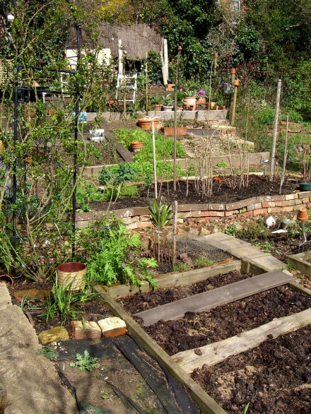 Allotment-fullviewnorth-1