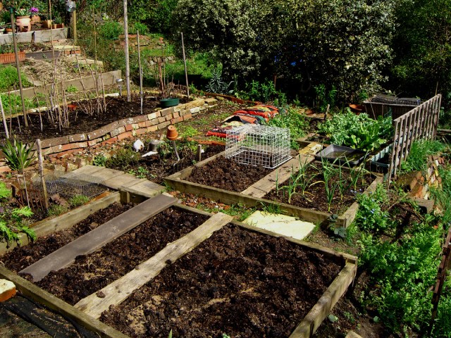Allotment-fullviewnorth-2