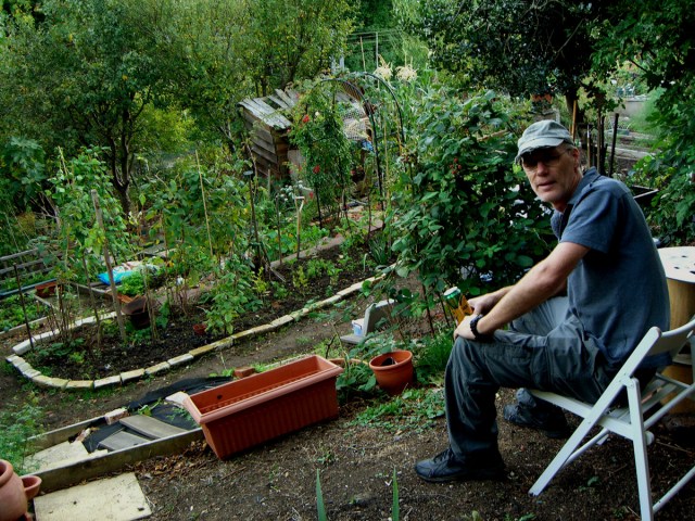 allotment-g-4