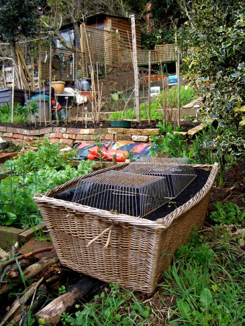 allotment-hamper1