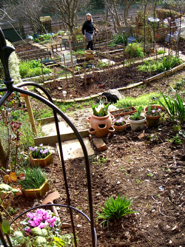 Allotment-Mar2-2019-Suzy2