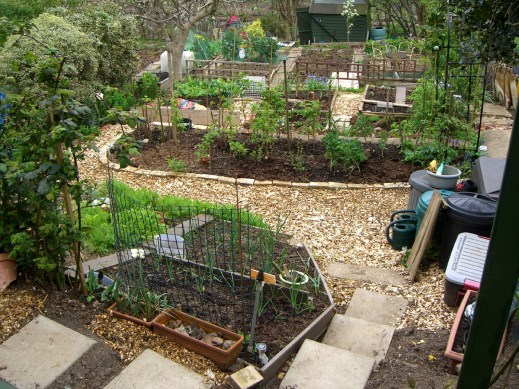 Allotment-April6-deckview1